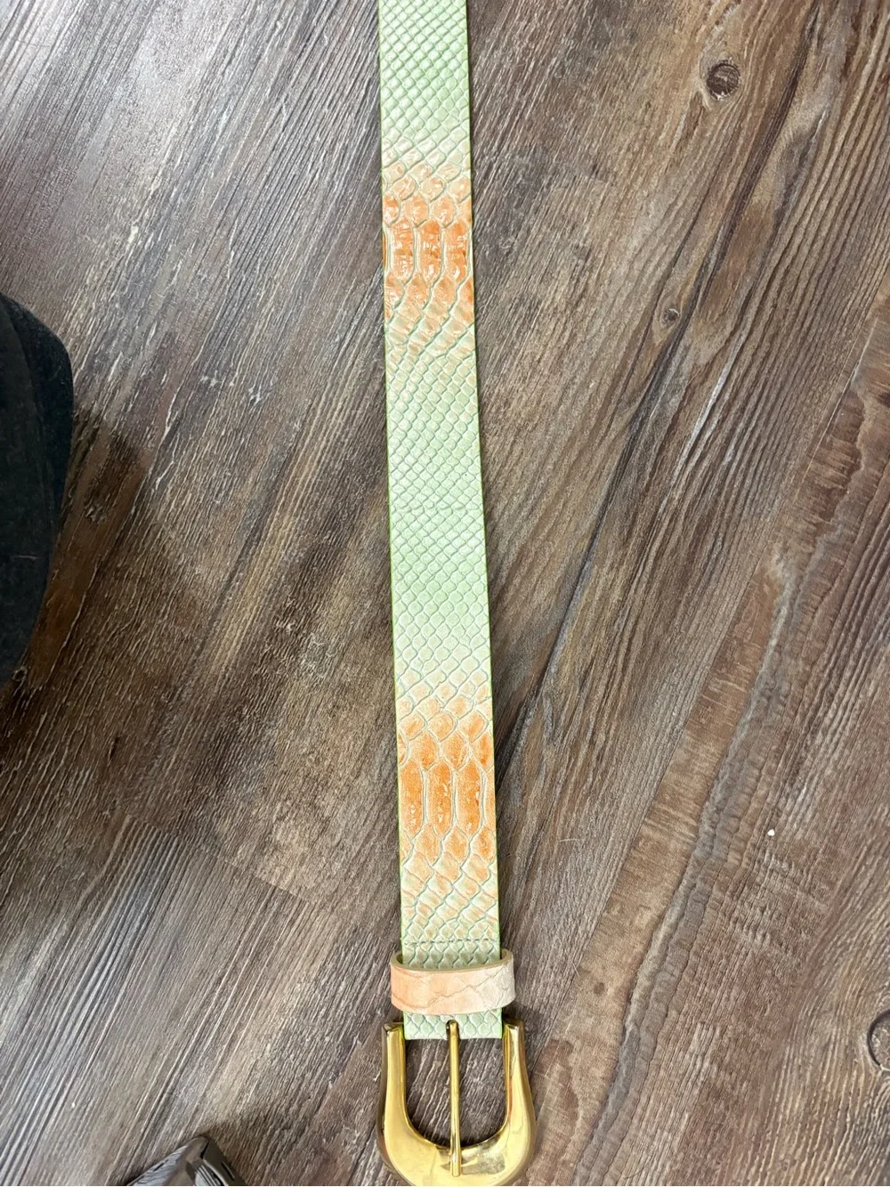 Vintage Orange Green Snake Effect Print Genuine Leather Belt Metal Gold Buckle
